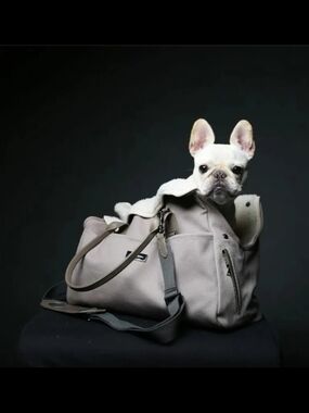 Max Bone City Carrier Tote with Removable Strap